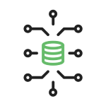 Domain Name Monitoring